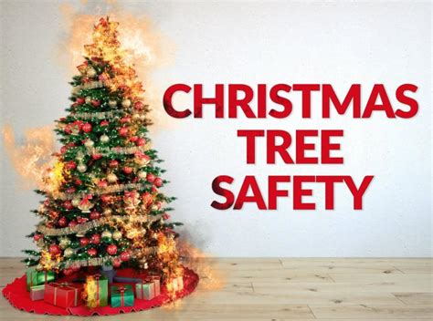 Residents Reminded Of Christmas Tree Dangers Talk Of The Villages Florida