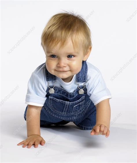 Baby Boy Crawling Stock Image C0521087 Science Photo Library