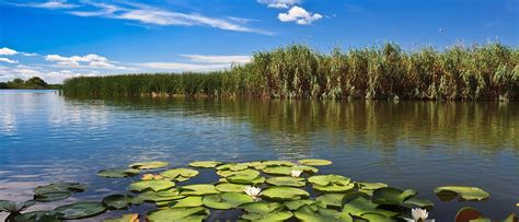 Danube Delta Travel And Vacation Packages