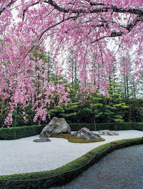 La Belleza De Los Jardines Japoneses Japanese Garden Japan Garden