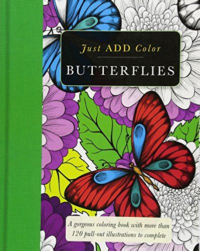 Butterflies Gorgeous Coloring Books With More Than 120 Pull Out
