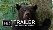 Oso Vicioso (2023) | Trailer en español - YouTube