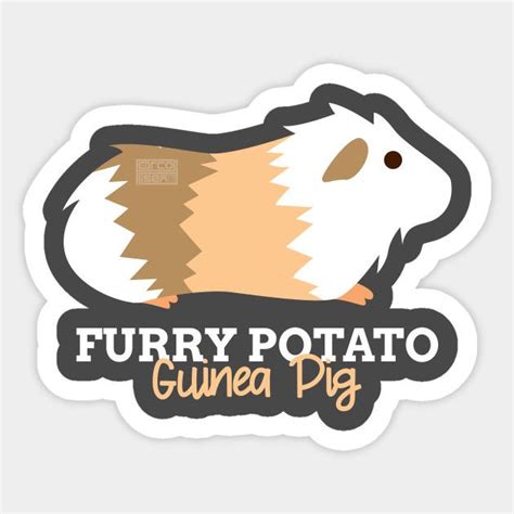 Pin On Furry Potato