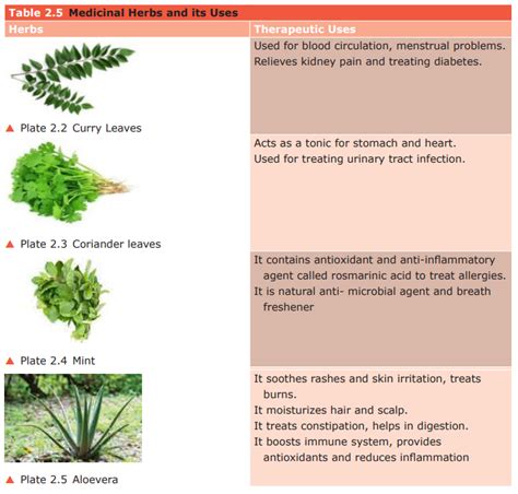 Identification Of Medicinal Herbs And Formulation Of A Recipe Practical