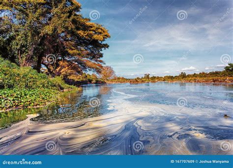 Athi River In Kenya Stock Image Image Of Environment 167707609