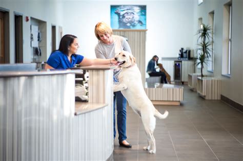 Working with a mobile veterinarian. Dog Clinics Near Me : Vet Near Me 98370 About Us Poulsbo ...