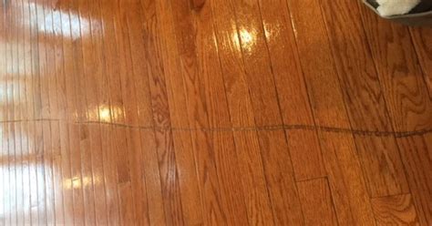 Susie got your number and susie ain't your friend look who dug you under seven inches in blood is on the dance floor blood is on the knife susie's got your number and susie's says is right. Deep scratches on hardware floors - deep and covering ...