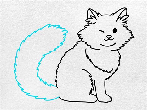 Norwegian Forest Cat Drawing Helloartsy