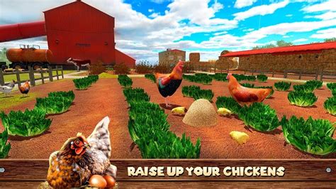 🐔🐣🐥rooster Chicken Simulator 3d Farm Animals Life By Animals Wildlife