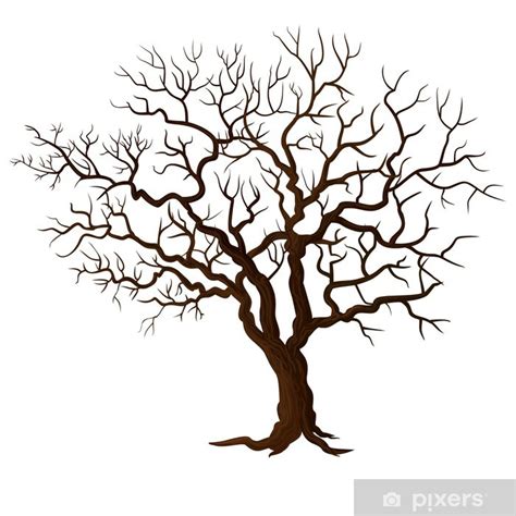 Plakat Drzewo Bez Liści Na Białym Pixerspl