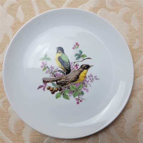 Vintage Ak Kaiser 2 Birds Hanging Plate Finches On Branches Etsy