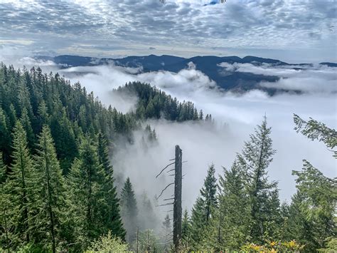 Oc Low Lying Clouds In The Northern Oregon Coast Range As Seen From