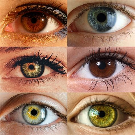 Trivia On Different Colored Eyes Meadville Pa Vision Source Meadville