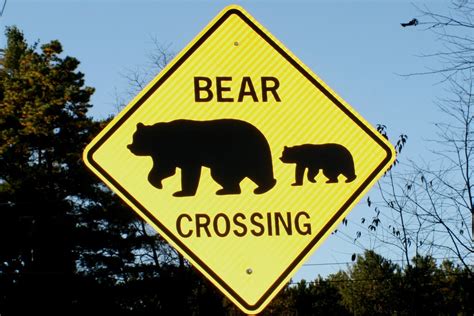 Bear Crossing Road Sign Bear Crossing Road Sign Along Kanc Flickr