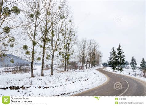 Winter Landscape Snow Covered Road In The Mountains With Trees Stock