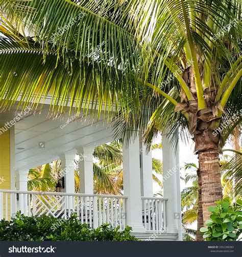 Charming Southern Veranda With Palm Tree Foliage In Naples Florida