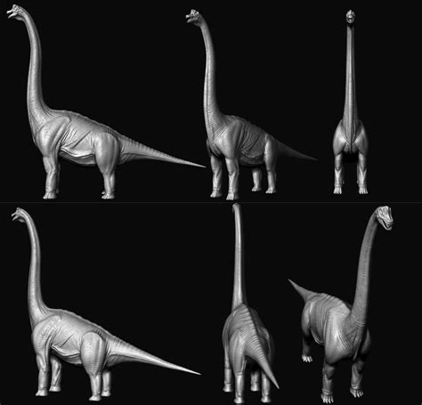 Brachiosaurus Model By Slocik On Deviantart