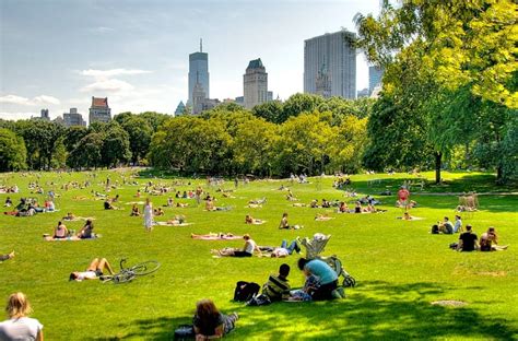 11 Ways To Enjoy A New York Summer