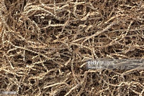 Shred Texture Photos And Premium High Res Pictures Getty Images