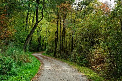 Free Images Tree Nature Wilderness Hiking Trail Meadow Sunlight