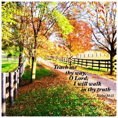 Teach Me Thy Way O Lord I Will Walk In Thy Truth Psalm 8611 Pcmamab