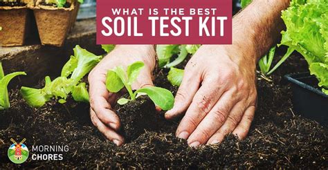 Avoid areas that have recently been treated with fertiliser, compost or other materials, as. 5 Best Soil Test Kits for Your Garden or Lawn - Reviews ...