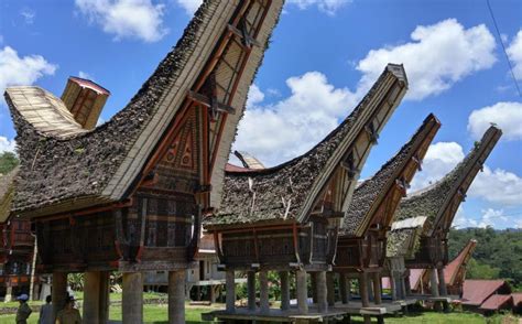 20 Contoh Gambar Gambar Rumah Adat Tongkonan Sulawesi Barat
