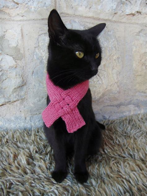 Scarf For Cat Pet Scarf Cat Accessories Kitten Outfit T Etsy