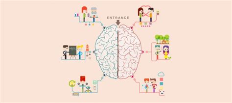 Neurociencia Educativa En Los Procesos De Enseñanza Aprendizaje