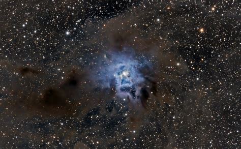 Ngc 7023 Iris Nebula Schafer Astrophotography