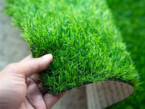 7 Reasons For Pet Owners To Switch To Artificial Turf For Pets In Seattle