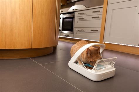 Feed and go automatic pet feeder with built in webcam review. SureFeed Microchip Pet Feeder » Gadget Flow