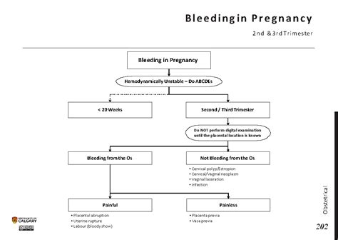 Bleeding In Pregnancy 2nd And 3rd Trimesters Blackbook Blackbook