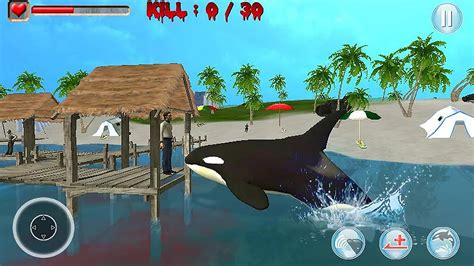 Killer Whale Simulator D Gameplay Android Youtube