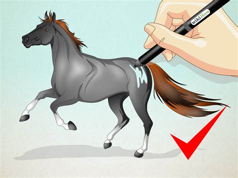 How To Draw A Realistic Looking Horse With Pictures Wikihow