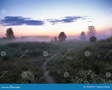 Sunrise Over A Foggy Meadow Stock Image Image Of Season Beautiful