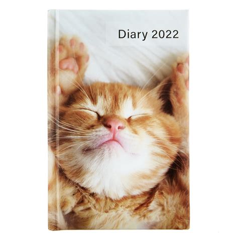 Buy A6 2022 Pocket Diary Cat For Gbp 100 Card Factory Uk