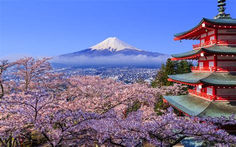 Japan Cherry Blossom Festival 2018 Where And When To Visit Travel