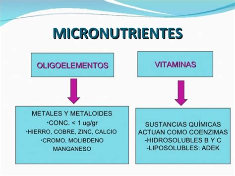 Beneficios De Los Alimentos Micro Nutrientes Necesarios Imágenes