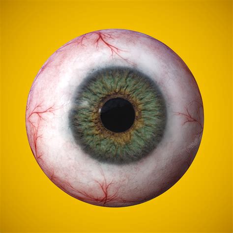 Henry Rietra Eye Anatomy Photorealistic Eyeball