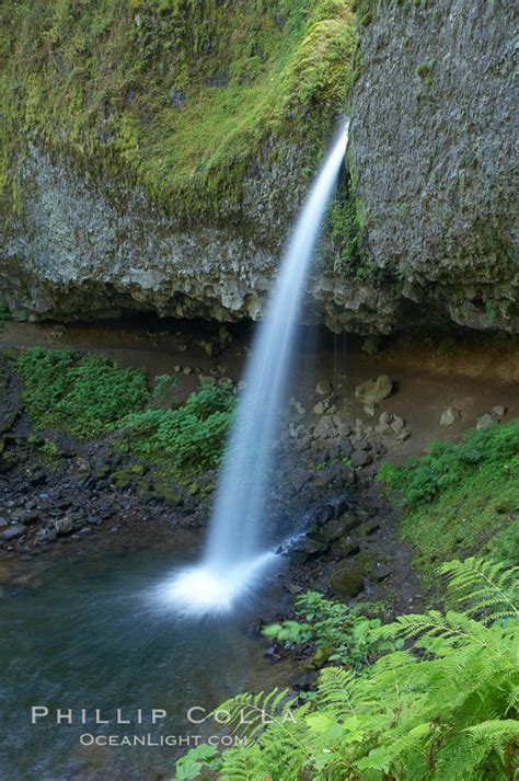 Ponytail Falls Columbia River Gorge National Scenic Area Oregon