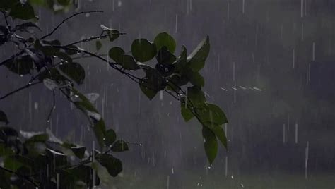 Obrazek Rain  Love Rain Aesthetic 