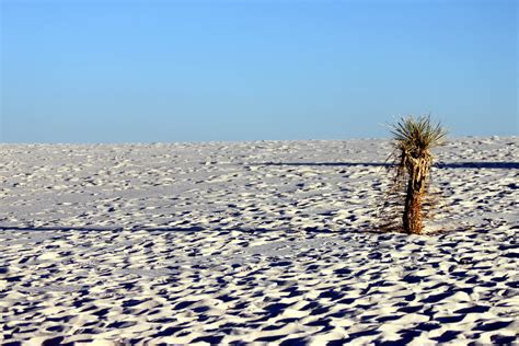 The Scenic Beauty Of The White Sands National Park New Mexico