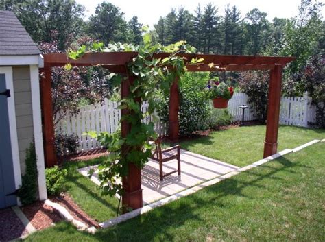Grape Vines Growing Over Pergola My Cousins And I Are Doing This To My