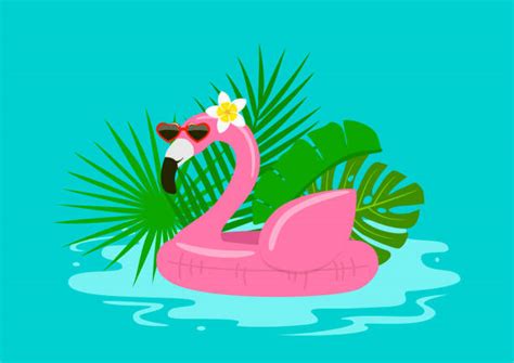 Pink Flamingo Sunglasses Illustrations Royalty Free