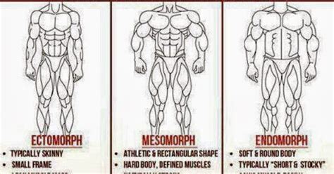 What Is Your Body Type Ectomorph Endomorph Or Mesomorph