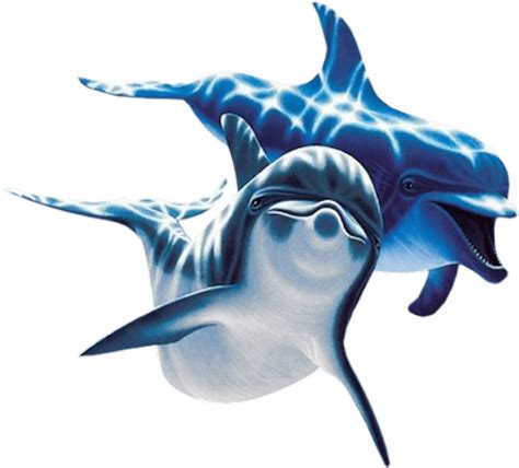 Dolphin Clipart Dolfin Dolphin Dolfin Transparent Free