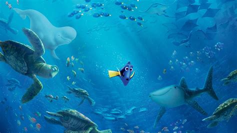 10 Latest Finding Nemo Ocean Background Full Hd 1920×1080 For Pc