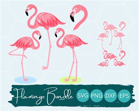 Pink Flamingo Svg Bundle Layered Flamingo Design Beach Bird Etsy