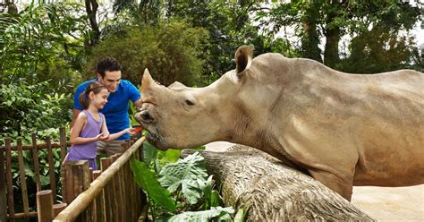 Zoo W Singapurze 1 Dniowy Bilet Elektroniczny Getyourguide